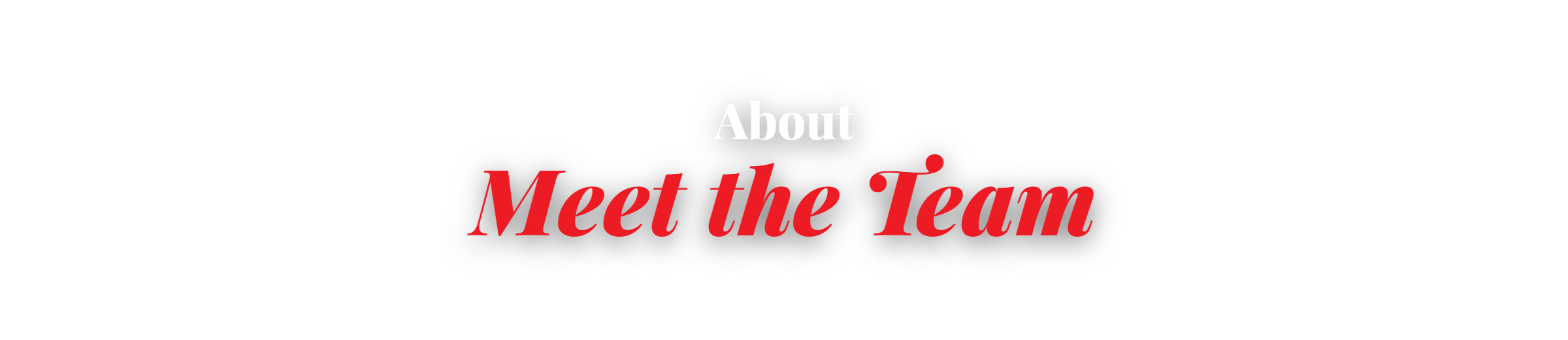 About, Meet the Team