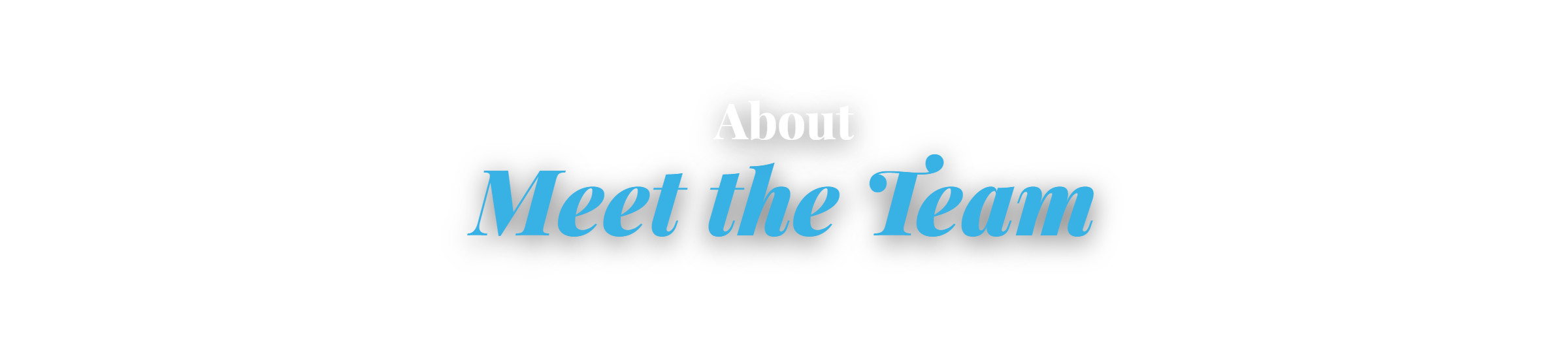 About, Meet the Team